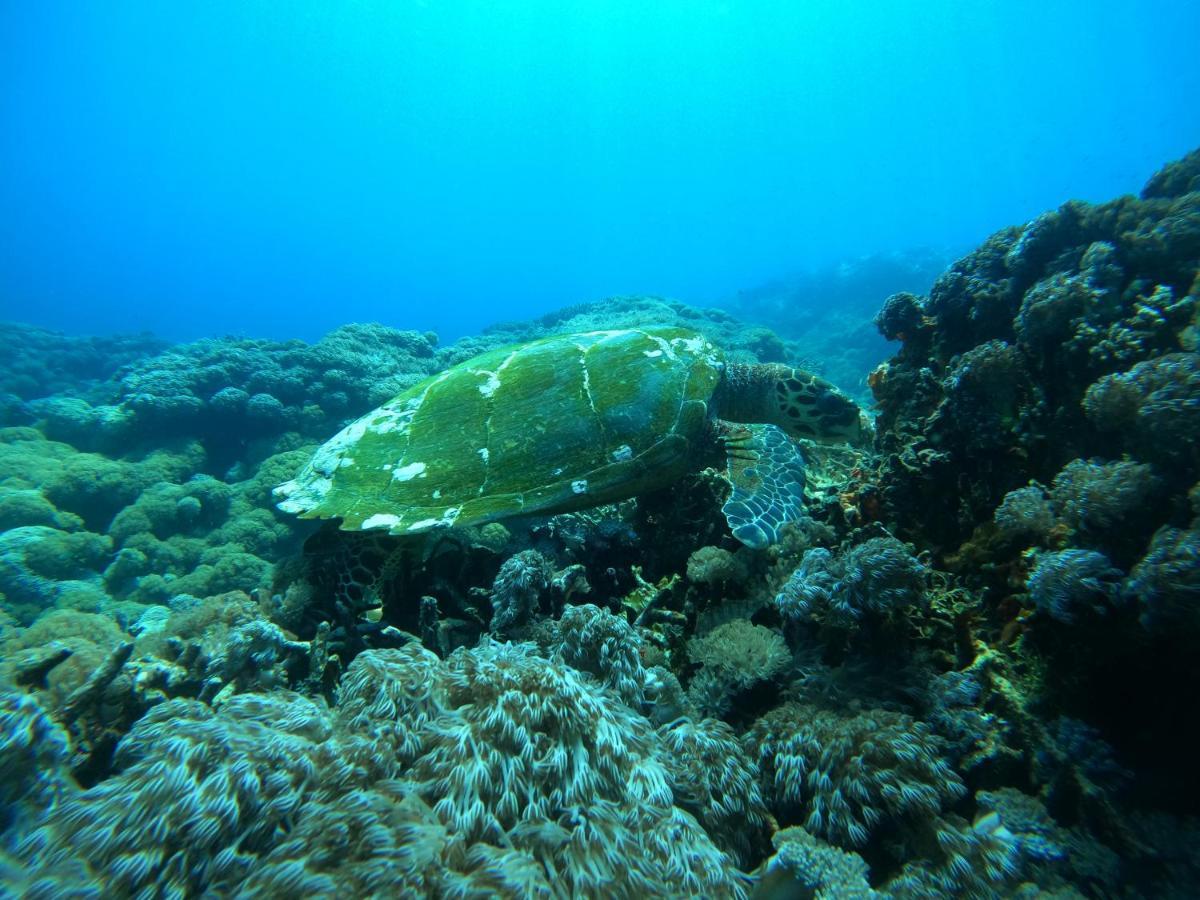 Lebaoh Nusa Cottage Nusa Lembongan  Ngoại thất bức ảnh